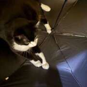 ヒメ日記 2025/07/12 13:23 投稿 上原まこと ミスターダンディー