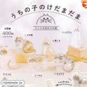 ヒメ日記 2025/08/20 06:13 投稿 上原まこと ミスターダンディー