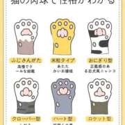 ヒメ日記 2025/08/27 06:07 投稿 上原まこと ミスターダンディー