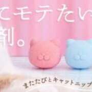 ヒメ日記 2025/09/13 16:33 投稿 上原まこと ミスターダンディー