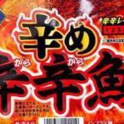 ヒメ日記 2025/12/03 18:03 投稿 上原まこと ミスターダンディー