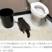 ヒメ日記 2025/12/04 13:33 投稿 上原まこと ミスターダンディー