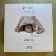 ヒメ日記 2025/12/13 16:53 投稿 上原まこと ミスターダンディー