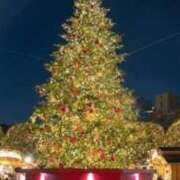 ヒメ日記 2025/12/24 23:13 投稿 上原まこと ミスターダンディー