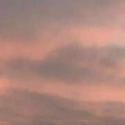 ヒメ日記 2025/12/31 17:03 投稿 上原まこと ミスターダンディー