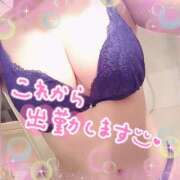 ヒメ日記 2025/03/22 05:30 投稿 椎名マリ ミスターダンディー