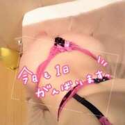 ヒメ日記 2026/10/03 06:03 投稿 椎名マリ ミスターダンディー