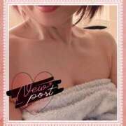 ヒメ日記 2026/01/28 12:50 投稿 陣内貴美子 セレブショップ新宿（東京ハレ系）