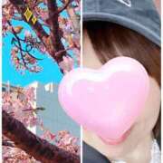 ヒメ日記 2026/02/23 08:22 投稿 陣内貴美子 セレブショップ新宿（東京ハレ系）