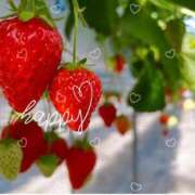 ヒメ日記 2026/03/17 09:36 投稿 陣内貴美子 セレブショップ新宿（東京ハレ系）