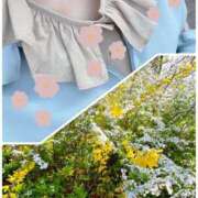 ヒメ日記 2026/03/22 08:21 投稿 陣内貴美子 セレブショップ新宿（東京ハレ系）