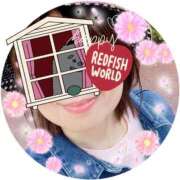 ヒメ日記 2026/03/29 08:14 投稿 陣内貴美子 セレブショップ新宿（東京ハレ系）