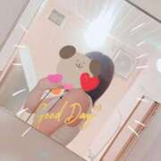 ヒメ日記 2026/05/14 08:18 投稿 陣内貴美子 セレブショップ新宿（東京ハレ系）