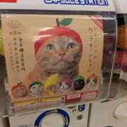 ヒメ日記 2025/02/19 21:09 投稿 蒼井アンナ 彩タマンサ（埼玉ハレ系）