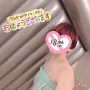 ヒメ日記 2025/02/28 08:33 投稿 蒼井アンナ 彩タマンサ（埼玉ハレ系）