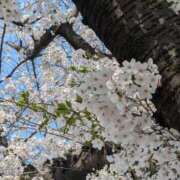 ヒメ日記 2025/03/30 19:32 投稿 蒼井アンナ 彩タマンサ（埼玉ハレ系）