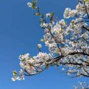 ヒメ日記 2025/04/10 21:02 投稿 蒼井アンナ 彩タマンサ（埼玉ハレ系）