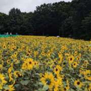 ヒメ日記 2025/08/18 10:16 投稿 蒼井アンナ 彩タマンサ（埼玉ハレ系）
