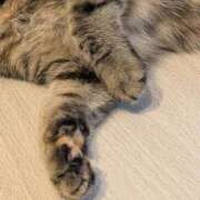 蒼井アンナ 今日の予定は 彩タマンサ（埼玉ハレ系）