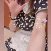ヒメ日記 2026/04/20 05:26 投稿 豊平さくら メイドin西川口（埼玉ハレ系）