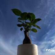 ヒメ日記 2025/12/31 20:52 投稿 みわ ぷるるん小町梅田店