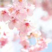 ヒメ日記 2025/09/10 22:10 投稿 さくら アバンチュール（難波）