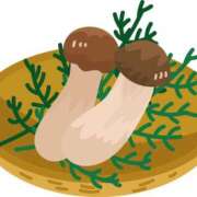 ヒメ日記 2025/10/09 14:12 投稿 さくら アバンチュール（難波）