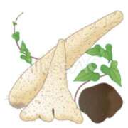 ヒメ日記 2025/10/18 08:15 投稿 さくら アバンチュール（難波）