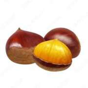 ヒメ日記 2025/10/25 08:07 投稿 さくら アバンチュール（難波）