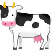 ヒメ日記 2025/11/19 16:36 投稿 さくら アバンチュール（難波）