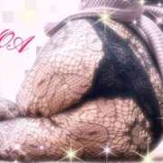 ヒメ日記 2025/10/27 10:37 投稿 のあ 痴女@女王様