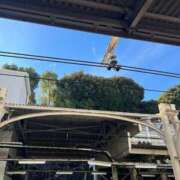 ヒメ日記 2024/12/18 12:06 投稿 あやな 熟女の風俗最終章 池袋店