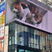 ヒメ日記 2025/03/01 07:32 投稿 あやな 熟女の風俗最終章 池袋店