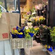 ヒメ日記 2025/03/05 13:02 投稿 あやな 熟女の風俗最終章 池袋店