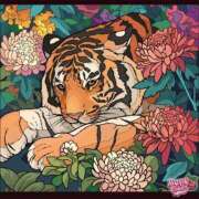 ヒメ日記 2025/03/25 12:02 投稿 あやな 熟女の風俗最終章 池袋店