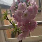 ヒメ日記 2025/03/29 12:52 投稿 あやな 熟女の風俗最終章 池袋店