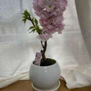 ヒメ日記 2025/03/30 06:22 投稿 あやな 熟女の風俗最終章 池袋店