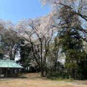 ヒメ日記 2025/04/07 12:44 投稿 あやな 熟女の風俗最終章 池袋店