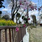 ヒメ日記 2025/04/08 18:41 投稿 あやな 熟女の風俗最終章 池袋店