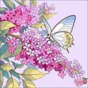 ヒメ日記 2025/04/13 11:04 投稿 あやな 熟女の風俗最終章 池袋店