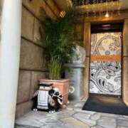 ヒメ日記 2025/05/05 20:52 投稿 あやな 熟女の風俗最終章 池袋店