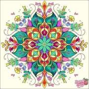 ヒメ日記 2025/06/14 15:03 投稿 あやな 熟女の風俗最終章 池袋店