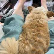 ヒメ日記 2025/06/17 13:52 投稿 あやな 熟女の風俗最終章 池袋店