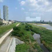 ヒメ日記 2025/07/08 14:05 投稿 あやな 熟女の風俗最終章 池袋店