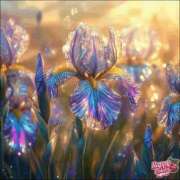 ヒメ日記 2025/07/14 21:02 投稿 あやな 熟女の風俗最終章 池袋店