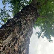 ヒメ日記 2025/07/25 18:52 投稿 あやな 熟女の風俗最終章 池袋店