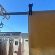 ヒメ日記 2025/07/29 07:02 投稿 あやな 熟女の風俗最終章 池袋店