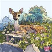 ヒメ日記 2025/08/04 10:22 投稿 あやな 熟女の風俗最終章 池袋店