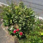 ヒメ日記 2025/08/06 11:03 投稿 あやな 熟女の風俗最終章 池袋店