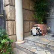 ヒメ日記 2025/09/20 05:52 投稿 あやな 熟女の風俗最終章 池袋店